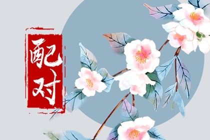 合盘五行：齐全与强弱
