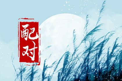 星座与八字：两套语言